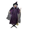 Northlight 66-in Animatronic Lighted Talking Witch Lifesize Greeter