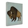"Tangletown Fine Art ""Buffalo Bison II"" by Ryan Fowler 20-in H x 20-in W Canvas Print"