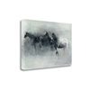 Tangletown Fine Art “In the Mist” Frameless 32-in H x 47-in W Abstract Canvas Print
