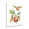 "Tangletown Fine Art Frameless 30-in x 30-in ""Orchard Bloom IV"" by Lisa Audit Canvas Print"