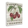 Tangletown Fine Art “Farm Fresh Cherries” Frameless 25-in H x 25-in W Novelty Canvas Print