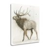 "Tangletown Fine Art Frameless 18-in x 18-in ""Elk V.2"" by James Wiens Canvas Print"