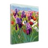 "Tangletown Fine Art Frameless 20-in x 20-in ""Early June"" by Shirley Novak Canvas Print"