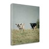"Tangletown Fine Art Frameless 24-in x 24-in ""Neutral Country III Crop"" by Elizabeth Urquhart Canvas Print"