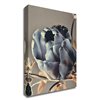 "Tangletown Fine Art ""Baroque 3"" by Design Fabrikken 35-in H x 25-in W Canvas Print"