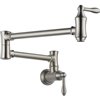 DELTA Traditional Brilliance Stainless 2-Handle Pot Filler Wall Mount Traditional Kitchen Faucet