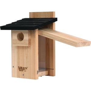 Bird Houses & Pedestals