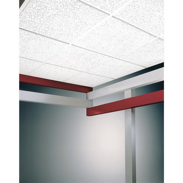 Avalon Dimensions Ceiling Tile Panel, 2 X 4 Ceiling Tiles That Look Like