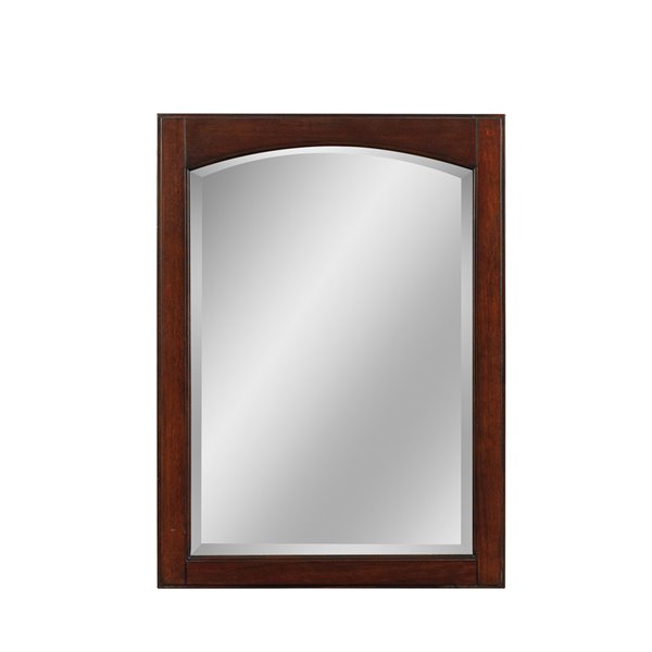 Allen Roth Royal York 22 In X 30, Framed Bathroom Mirrors Canada