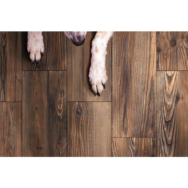 Porcelain Floor And Wall Tile, What Is The Best Wood Look Tile