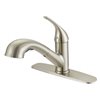 Project Source 1-Handle Pull-Out Kitchen Faucet