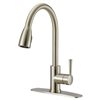 Project Source 1-Handle Pull-Down Kitchen Faucet