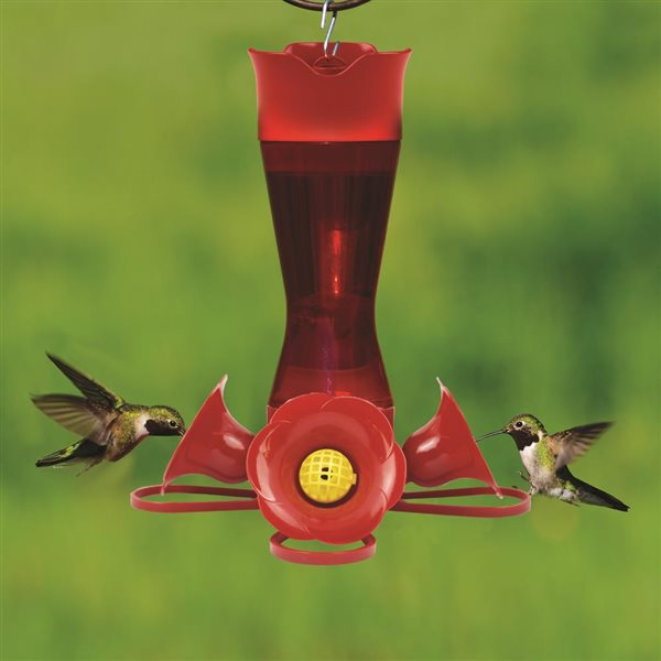 Perky-Pet  Hummingbird  8 oz Plastic  Nectar Feeder  3 ports 