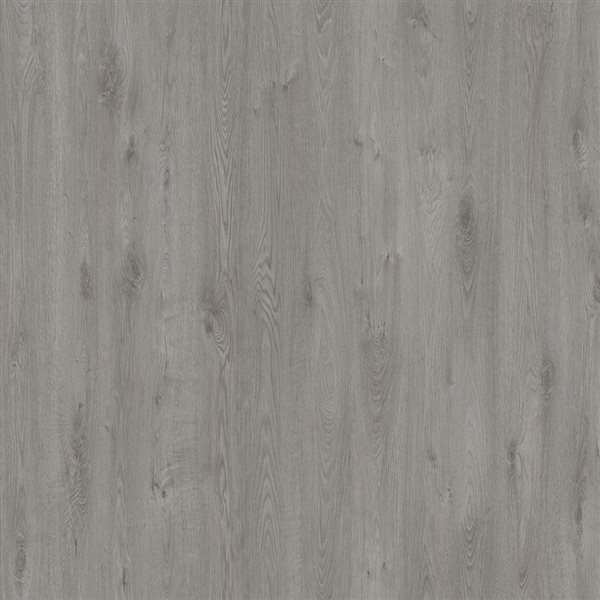 Mono Serra Group 6 08 In W Gray, Ac5 Laminate Flooring Canada