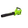Greenworks 40-Volt Lithium Ion Cordless Axial Leaf Blower with 1 x 2.5Ah Battery and Charger