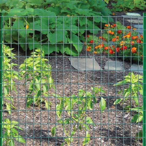 Garden Zone Pvc Coated Welded Wire, Welded Wire Garden Fence