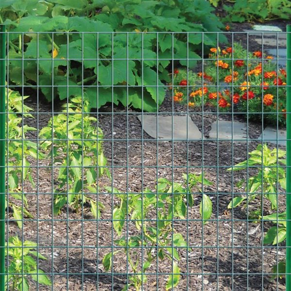 Garden Zone 50 Ft X 36 In Green Pvc, Wire Mesh Fencing For Garden